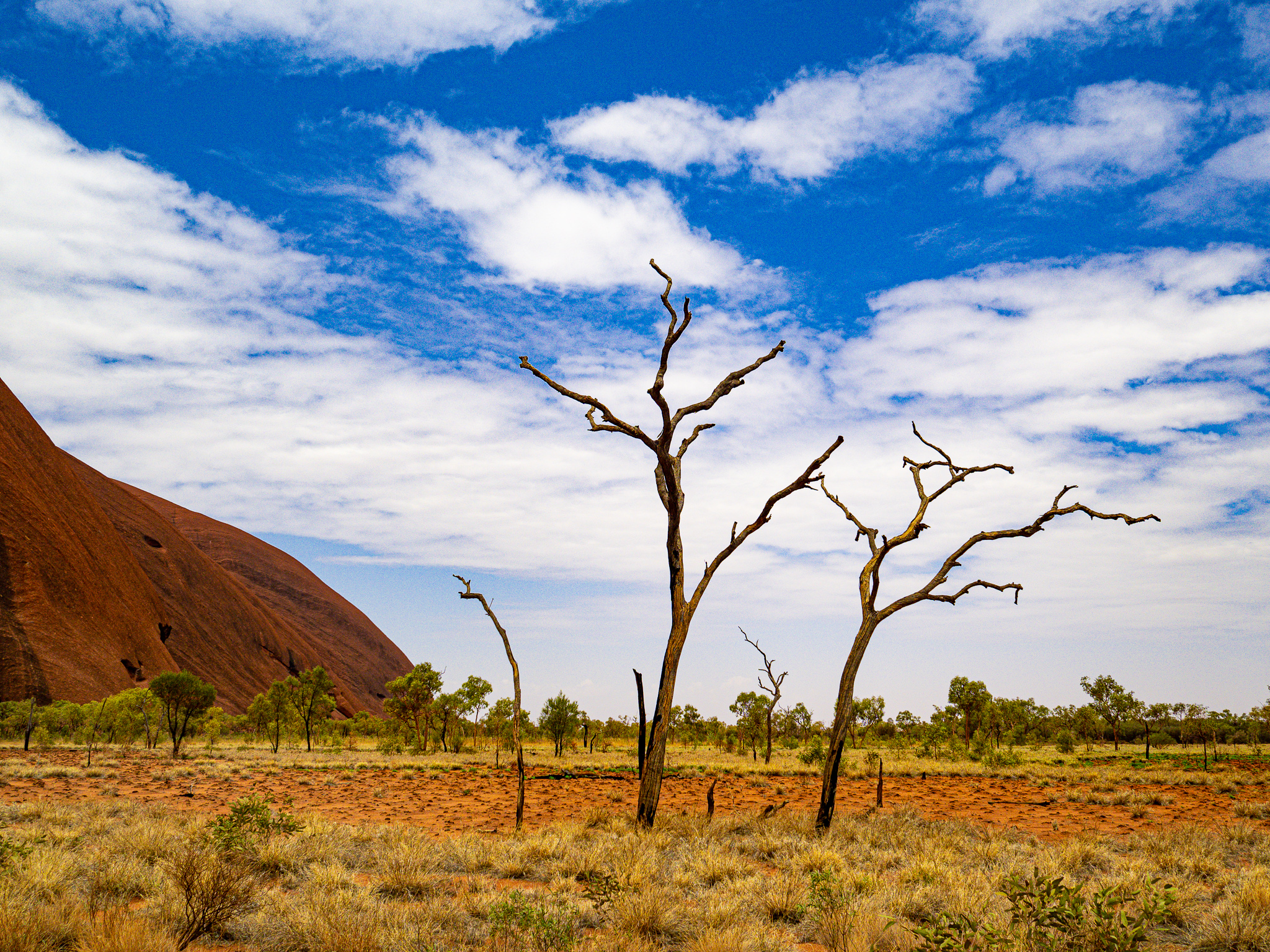 Eric Berger Photographer