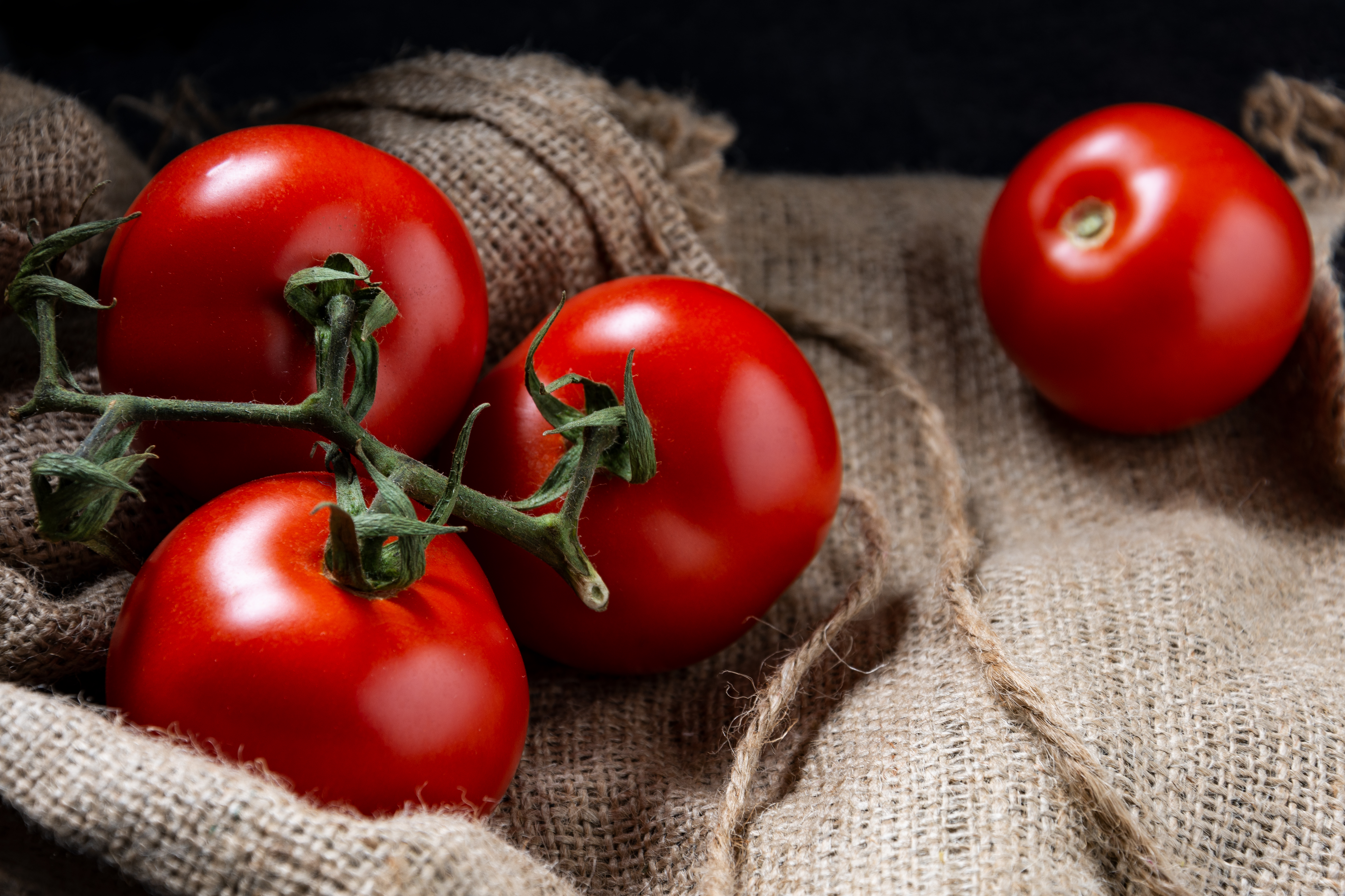 M19_Foodfotografie_Thalhammer